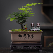 紫砂盆景长方形多肉花盆陶瓷绿植盆栽室内底座中国风摆件带托盘