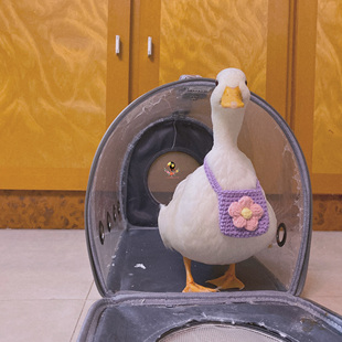 柯尔鸭透明外出便携包宠物外带携带双肩背包透气书包鸭子用品用具