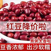 新货红小豆农家自产红豆蜜豆五谷杂粮红豆薏米非赤小豆