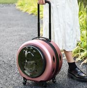 。猫包外出旅行便携大容量宠物拉杆箱透明猫狗包箱推车超大号行李