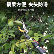 摘龙眼神器剪头摘水果，荔枝杨梅摘果器摘果伸缩杆，采摘器高枝剪1米