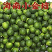 新鲜海南小青金桔5斤奶茶饮品榨汁调味专用皮薄多汁当季水果