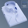 2024夏季条纹短袖衬衫，男蓝色商务休闲职业装衬衣，免烫大码上班寸杉