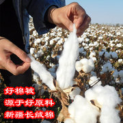 新疆一级长绒棉被棉絮被芯加厚保暖棉花被褥子垫被学生全棉冬被子