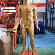 人体针灸模型针灸m铜人模型，穴位铜人人体经络模型(铜色)178cm