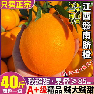 正宗40斤江西赣南脐橙新鲜橙子水果，礼盒当季赣州大果整箱