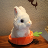 可爱萌宠兔子送胡萝卜，兔窝小白兔公仔毛绒玩具仿真兔，儿童玩偶娃娃