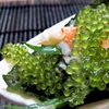 海葡萄即食新鲜盐渍 海藻菜寿司食材绿色鱼子酱100g