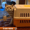 猫咪航空箱猫笼子便携箱子外出包宠物狗狗托运小型犬运输空运狗笼