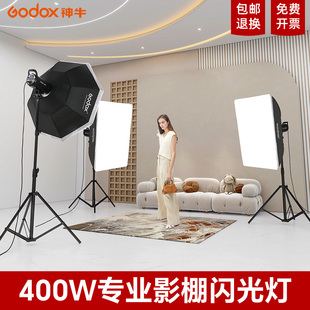 Godox神牛摄影灯SK400W II二代影室闪光灯400W专业摄影棚室内拍摄服装棚拍灯服装人像儿童静物影楼补光灯套装