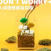 涂鸦造物 苔藓植物微景观创意办公室卧室书桌减压摆件教师节