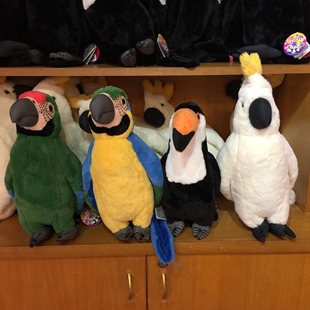广州长隆动物世界，纪念品鹦鹉巨嘴鸟可爱毛绒公仔，娃娃儿童睡觉玩具