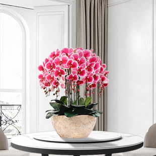 和家蝴蝶兰仿真花套装，塑料花艺绢花假花盆栽客厅，装饰餐桌干花花束
