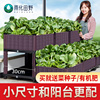 阳台种植箱种菜神器专用箱楼顶蔬菜种菜盆特大塑料花盆长方形花箱