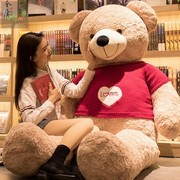 正版泰迪熊猫公仔毛绒玩具抱抱熊大熊可爱布娃娃玩偶生日礼物女生