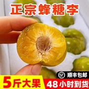 正宗贵州六马镇宁蜂糖李新鲜(李新鲜)水果，5斤安顺当季整箱纯甜蜂蜜李