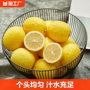 安岳新鲜黄柠檬果皮薄夏季切片泡水补充维C榨汁水果