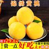 黄桃新鲜水果5斤现摘孕妇，罐头黄桃锦绣黄桃大果