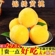 黄桃新鲜水果5斤现摘孕妇罐头黄桃锦绣黄桃大果