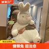 兔子玩偶大白兔公仔睡觉抱枕毛绒玩具娃娃治愈系生日礼物女生客厅