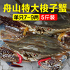 梭子蟹新鲜冷冻大海螃蟹，红膏蟹飞蟹花蟹，5斤海鲜水产舟山速冻