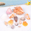 天然海螺贝壳鱼缸摆件，装饰工艺品创意贝壳，海螺diy手工材料包