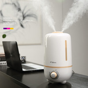 加湿器4L大容量静音迷你办公室卧室家用香薰机DEM-F450