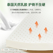 定制环保竹炭纤维床垫椰棕垫单人乳胶棕榈家用偏硬垫薄款
