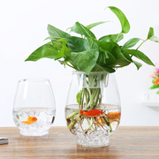 简约大号透明创意玻璃花瓶，室内鱼缸水培水养，绿萝植物器皿客厅摆件