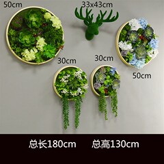 圆形仿真植物装饰绿植多肉壁挂墙上挂花背景墙北欧幼儿园饭厅挂画