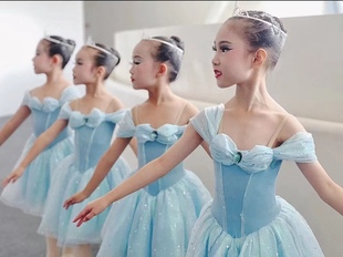 儿童芭蕾舞裙女童艾莎公主蓝色舞蹈演出服专业蓬蓬裙表演服春夏款