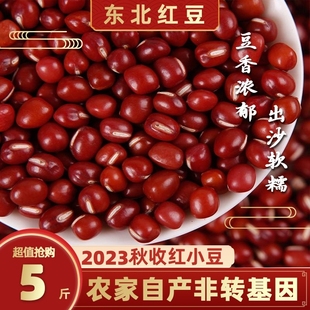 2023东北红豆农家自产红小豆红豆蜜豆五谷杂粮红薏米非赤小豆