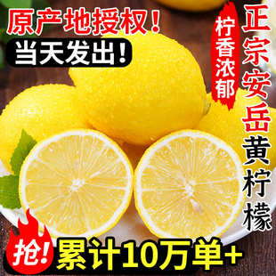 四川安岳黄柠檬(黄柠檬)9斤新鲜水果，奶茶店专用皮薄，大果非香水柠檬无10籽
