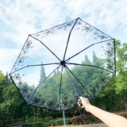 生如夏花透明雨伞女折叠白色女神网红伞森系创意学生全自动透明伞