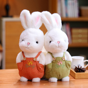 可爱阳光兔公仔小白兔，毛绒玩具兔兔玩偶，儿童安抚陪睡娃娃生日礼物