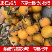 一份3斤土枇杷农家天然自种新鲜水果时令当季现摘非大果