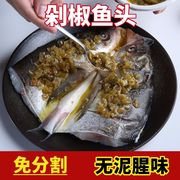 剁椒鱼头半成品620g新鲜白鲢头鲜活活鱼现杀速食，胖头鱼懒人真空装