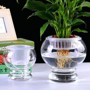 水培玻璃植物圆球花盆，室内桌面摆件花卉，水养器皿灯笼办公绿萝花瓶