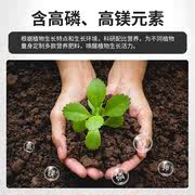 日本控释肥月季兰花通用长效缓释肥蝴蝶兰罗汉松盆景盆栽花肥