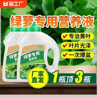 绿萝营养液通用型水养花植物水培绿萝营业液专用花肥料营养剂开花