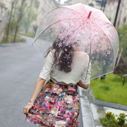 高档日本樱花伞韩国透明雨伞，折叠小学生公主，儿童女孩拱形小清新长