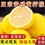 四川新鲜黄(新鲜黄)柠檬皮薄，多汁新鲜水果整箱
