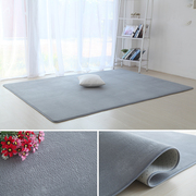 北欧灰色地毯卧室可睡可坐短毛满铺房间布置床边毯客厅茶几大地垫