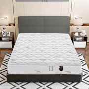 弹簧床垫20厚1.8米双人床垫1.2米单人椰棕偏硬垫床垫加厚一件