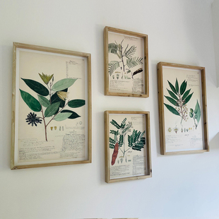 ~美式乡村干花标本图案，装饰画绿植物，做旧实木边框挂画壁挂饰