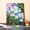 数字油画diy植物花卉装饰客厅，卧室手绘涂鸦世界，名画打发时间绘画