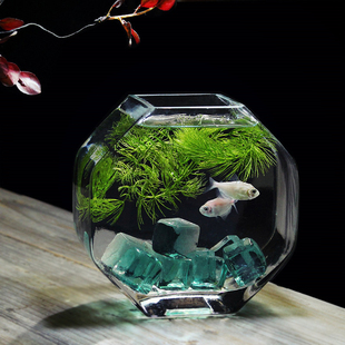 斗鱼缸加厚高白玻璃个性，鱼缸小号创意，鱼缸办公桌面热带鱼缸高品质