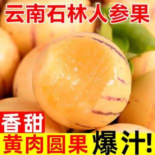 云南石林人参果果圆果新鲜水果黄肉5斤大果中果