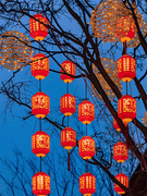 新年灯笼户外防水防晒氛围，吊灯挂饰中国风，新中式福字串联蘑菇小匠
