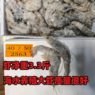大虾鲜活超大海水虾青岛特大青虾冷冻鲜对虾速冻海虾虾类海鲜水产